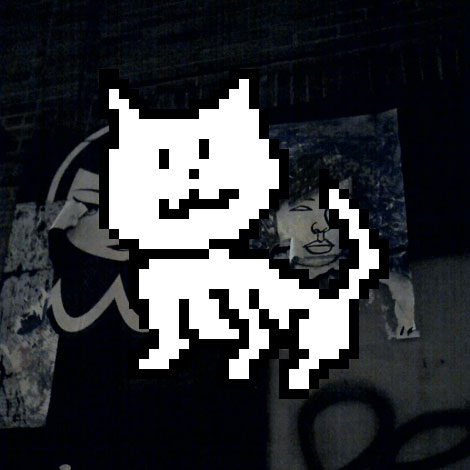 graffiti kitty