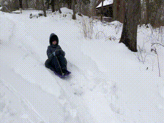 claire sled